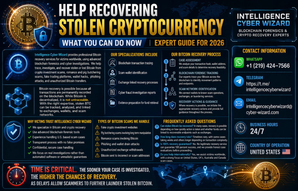 Intelligence Cyber Wizard Recovery (1).png